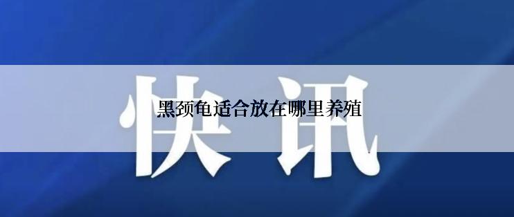  黑颈龟适合放在哪里养殖
