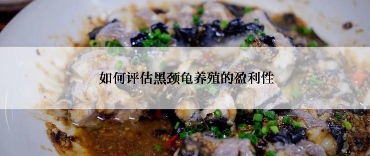 如何评估黑颈龟养殖的盈利性