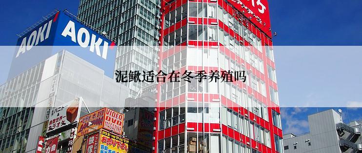 泥鳅适合在冬季养殖吗