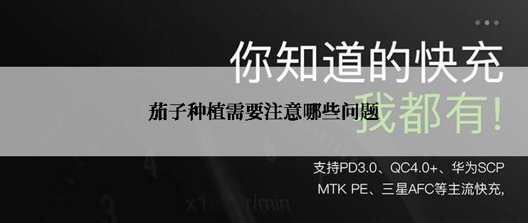 茄子种植需要注意哪些问题