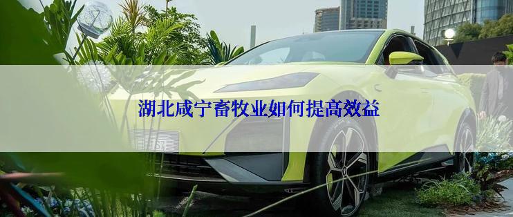 湖北咸宁畜牧业如何提高效益