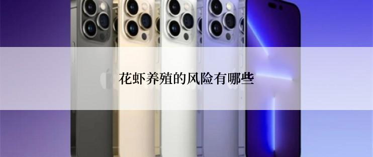 花虾养殖的风险有哪些