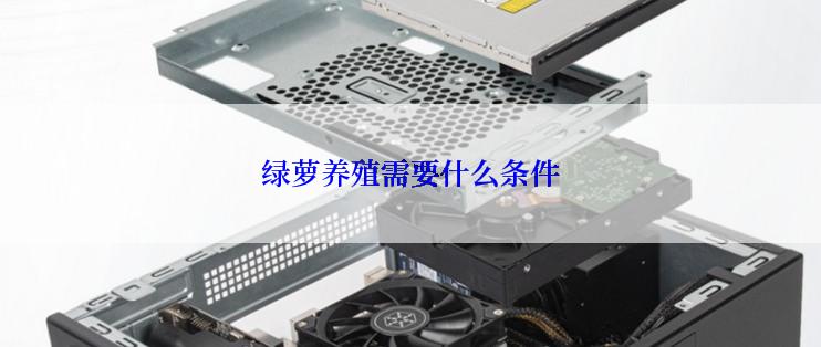绿萝养殖需要什么条件