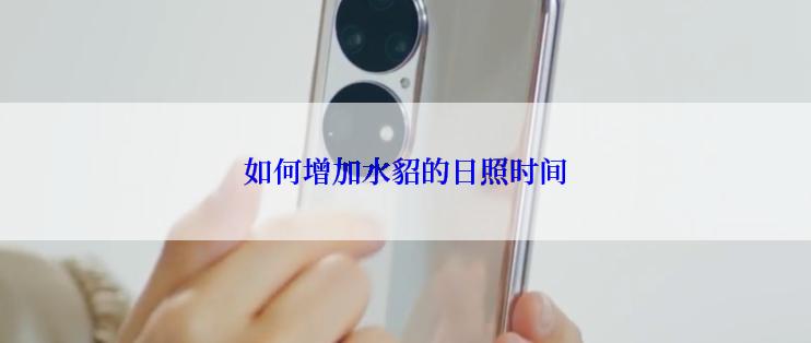 如何增加水貂的日照时间