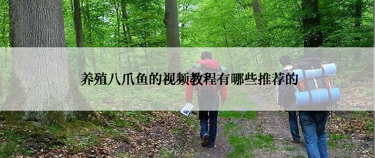  养殖八爪鱼的视频教程有哪些推荐的