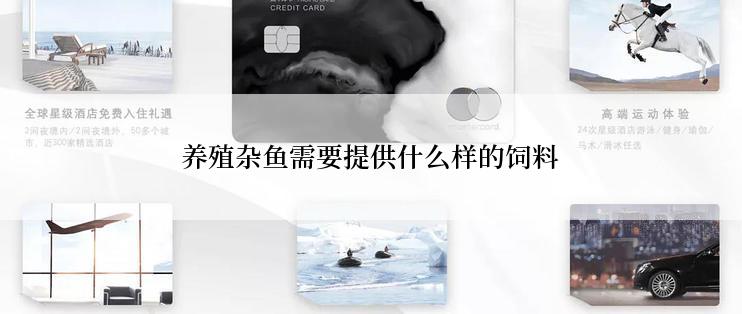 养殖杂鱼需要提供什么样的饲料