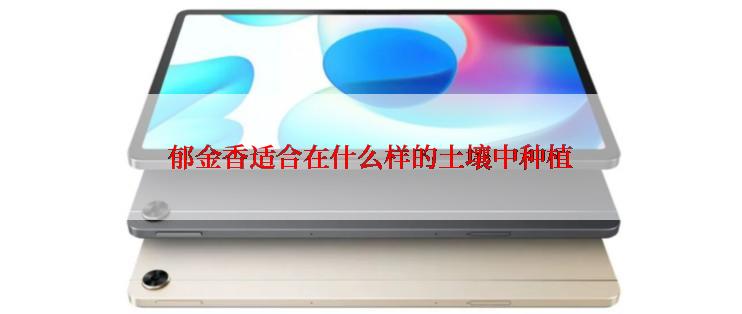 郁金香适合在什么样的土壤中种植