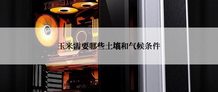 玉米需要哪些土壤和气候条件