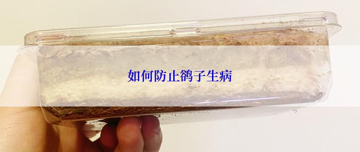 如何防止鹆子生病