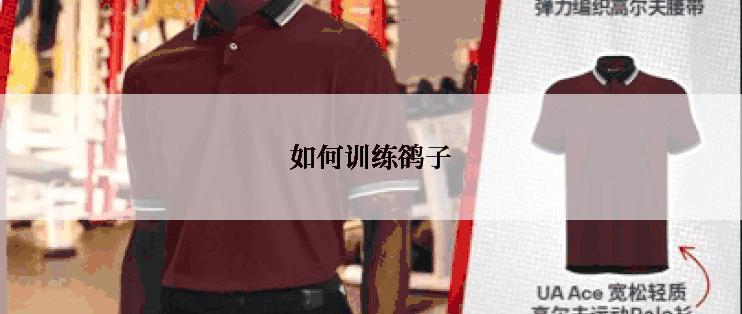如何训练鹆子