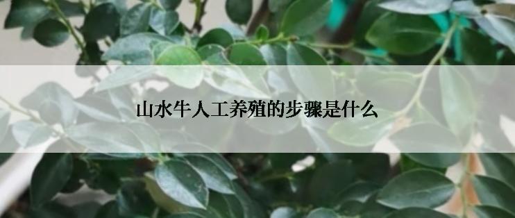 山水牛人工养殖的步骤是什么