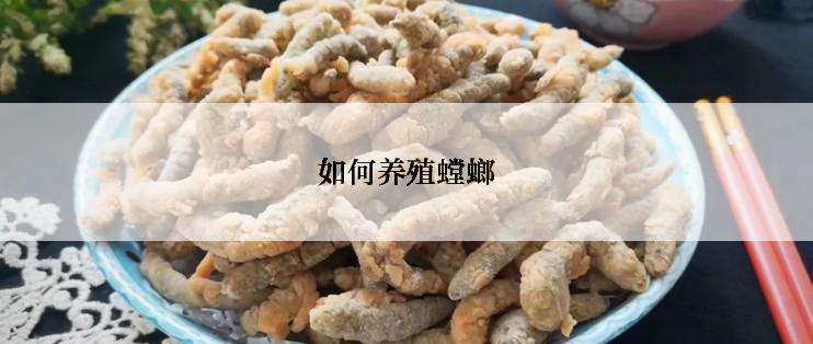 如何养殖螳螂