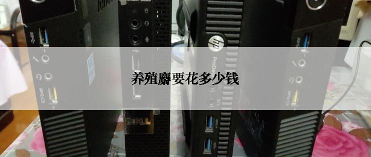 养殖麝要花多少钱