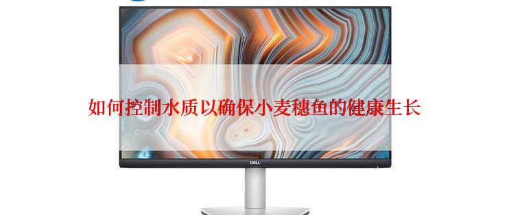 如何控制水质以确保小麦穗鱼的健康生长