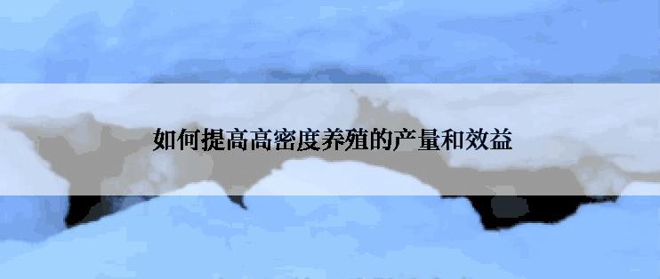  如何提高高密度养殖的产量和效益