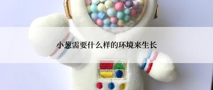 小葱需要什么样的环境来生长