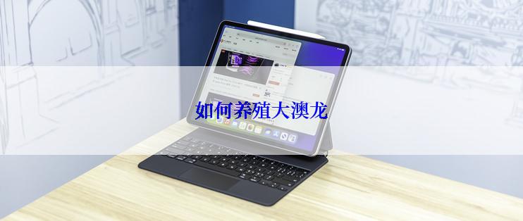 如何养殖大澳龙