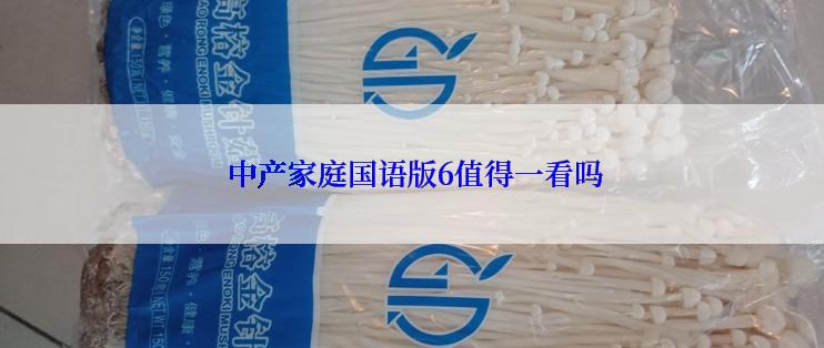  中产家庭国语版6值得一看吗