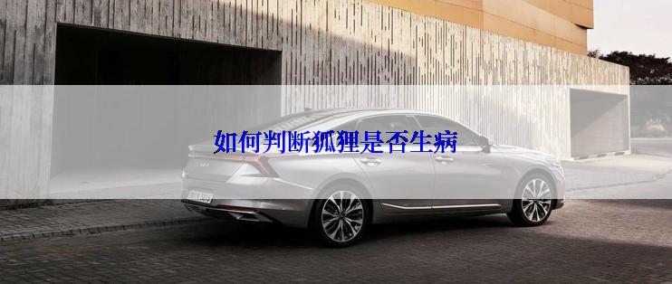 如何判断狐狸是否生病