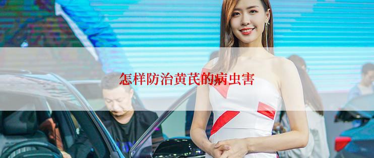 怎样防治黄芪的病虫害