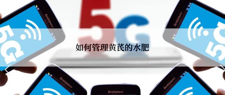 如何管理黄芪的水肥