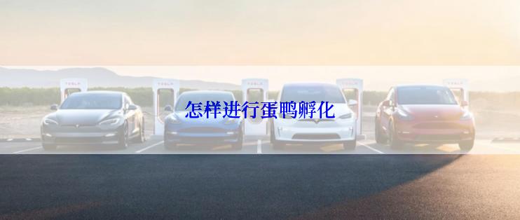 怎样进行蛋鸭孵化