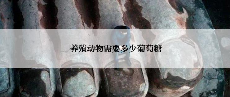  养殖动物需要多少葡萄糖