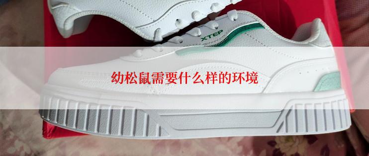 幼松鼠需要什么样的环境