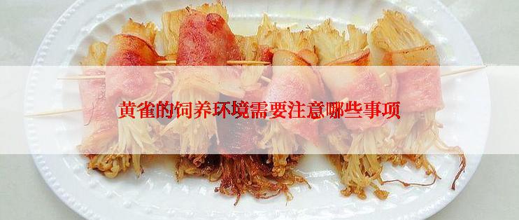 黄雀的饲养环境需要注意哪些事项