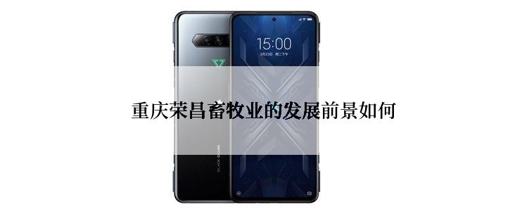 重庆荣昌畜牧业的发展前景如何