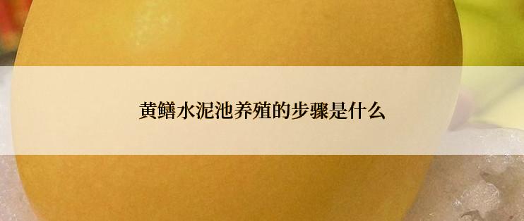 黄鳝水泥池养殖的步骤是什么