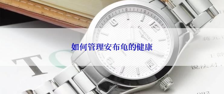 如何管理安布龟的健康