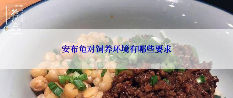 安布龟对饲养环境有哪些要求