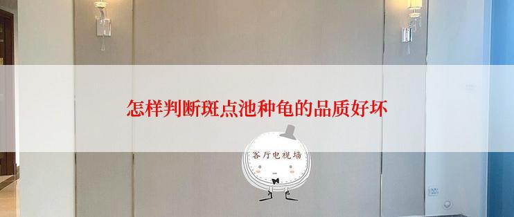 怎样判断斑点池种龟的品质好坏