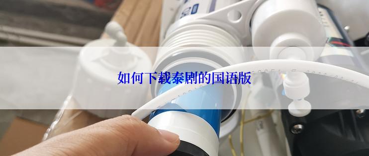 如何下载泰剧的国语版