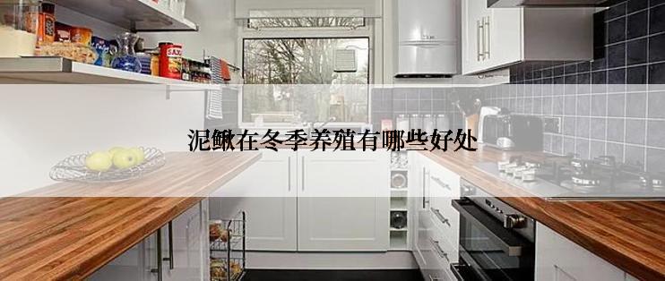 泥鳅在冬季养殖有哪些好处