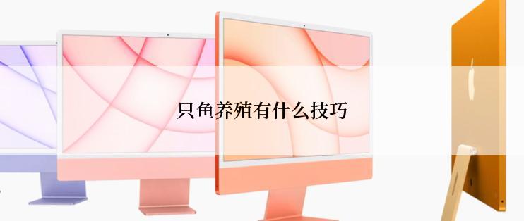 只鱼养殖有什么技巧