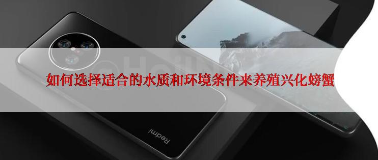  如何选择适合的水质和环境条件来养殖兴化螃蟹