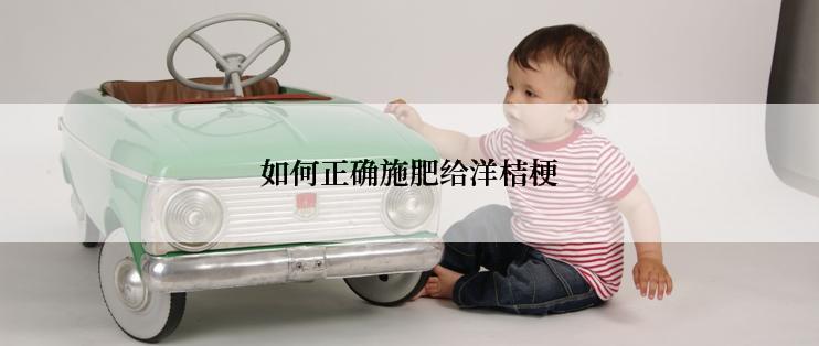 如何正确施肥给洋桔梗