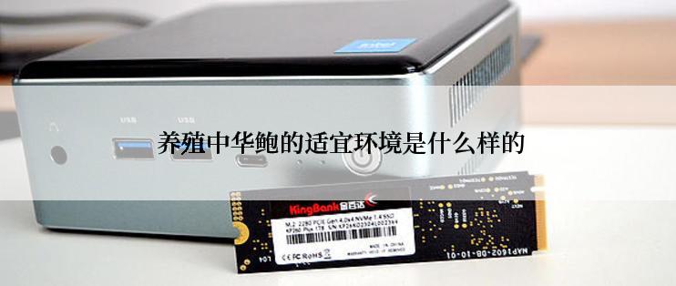  养殖中华鲍的适宜环境是什么样的