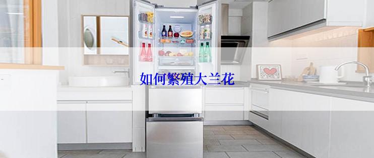 如何繁殖大兰花