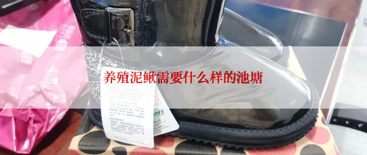 养殖泥鳅需要什么样的池塘