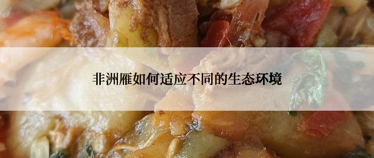 非洲雁如何适应不同的生态环境