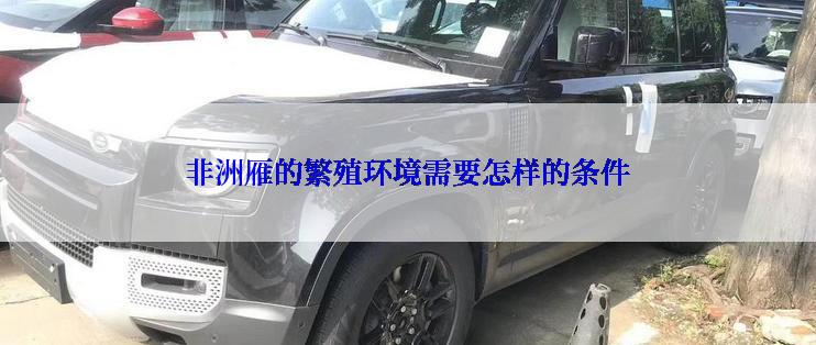 非洲雁的繁殖环境需要怎样的条件