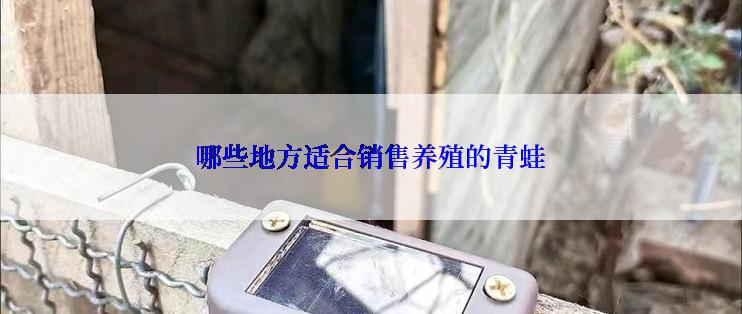 哪些地方适合销售养殖的青蛙