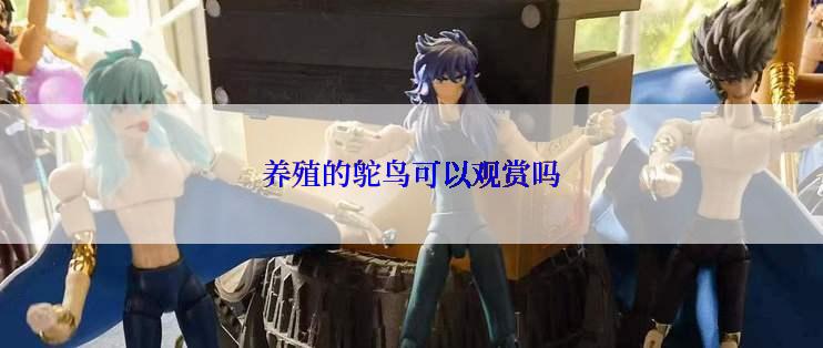 养殖的鸵鸟可以观赏吗