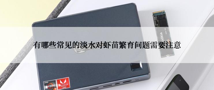 有哪些常见的淡水对虾苗繁育问题需要注意