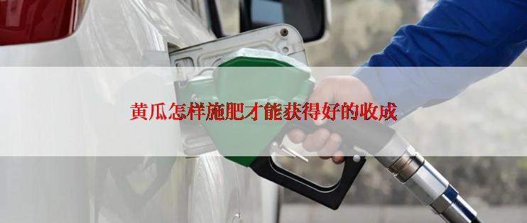 黄瓜怎样施肥才能获得好的收成
