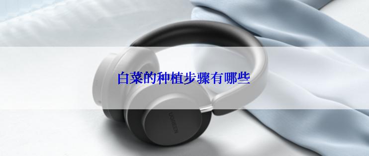 白菜的种植步骤有哪些