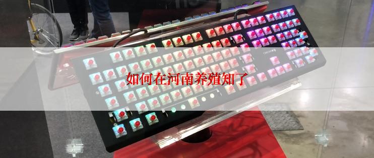 如何在河南养殖知了